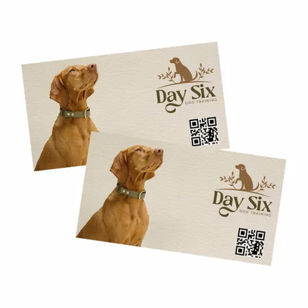 QR Businesss Cards - Custom Flying Discs