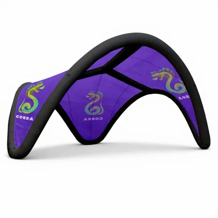 16 ft. x 16 ft. Inflatable Trident Tents 16 ft. x 16 ft. Inflatable Trident Tents - Custom Flying Discs