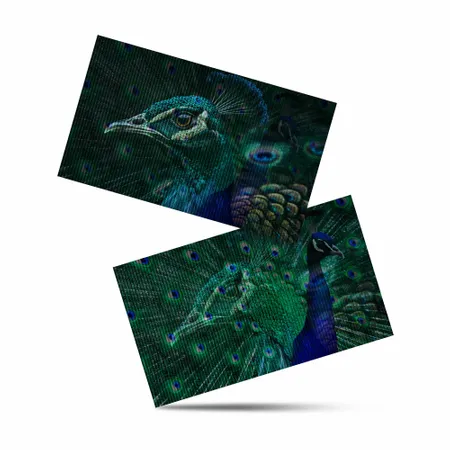 Lenticular Card - Custom Flying Discs