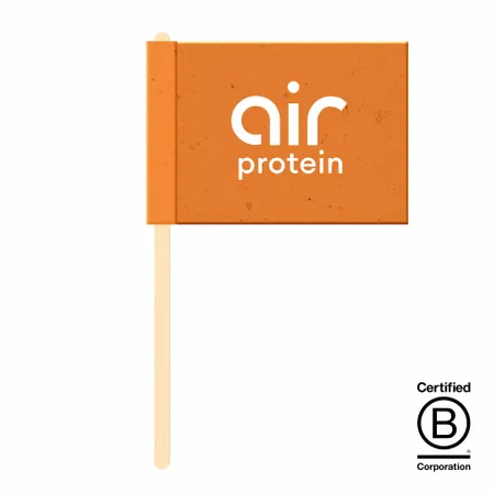 Seed Paper Flags - Custom Flying Discs