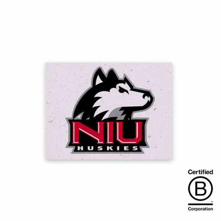 Seed Paper Panel Cards - Custom Flying Discs