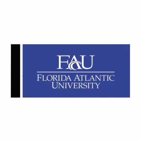 Mini Gold-Accented Planners - Custom Flying Discs