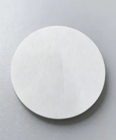 Hard Diatom Mud Coaster - Custom Flying Discs