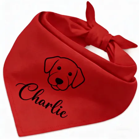 Cotton Bandanas - Custom Flying Discs