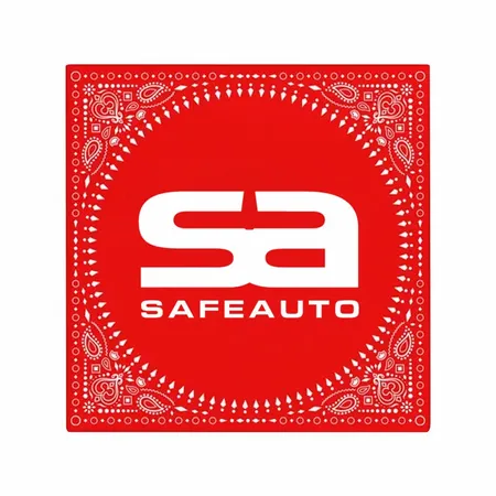 Traditional Paisley Bandanas - Custom Flying Discs