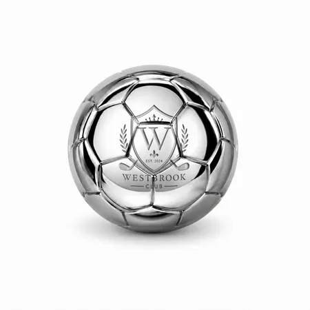 Soccer Ball Stainless Steel Ice Cubes - Custom Flying Discs