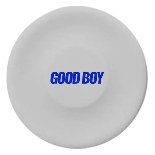 White - Custom Flying Discs