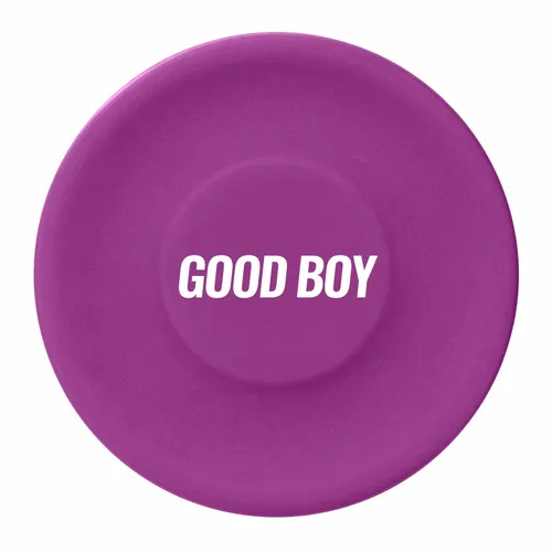 Purple - Custom Flying Discs