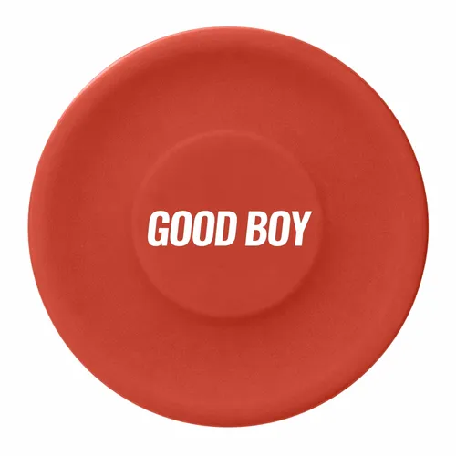 Red - Custom Flying Discs