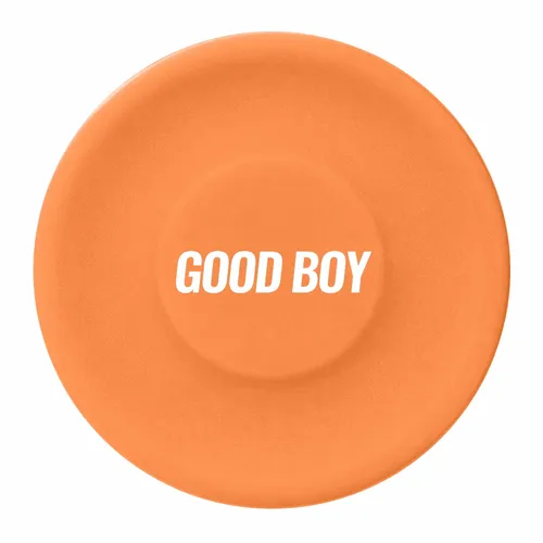Orange - Custom Flying Discs