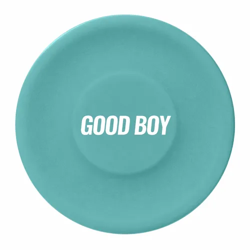 Blue - Custom Flying Discs