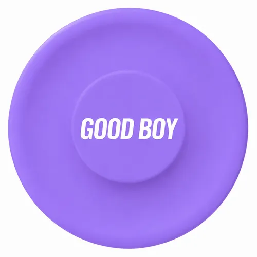 Purple - Custom Flying Discs
