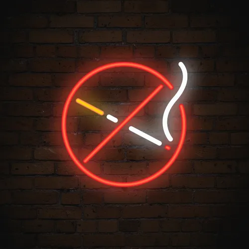 No Smoking Simple Neon Sign - Custom Flying Discs