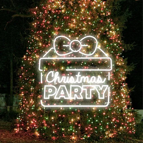 Christmas Party Gift Box Neon Sign - Custom Flying Discs