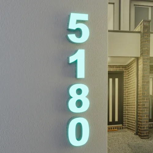 Face Lit House Number - Custom Flying Discs