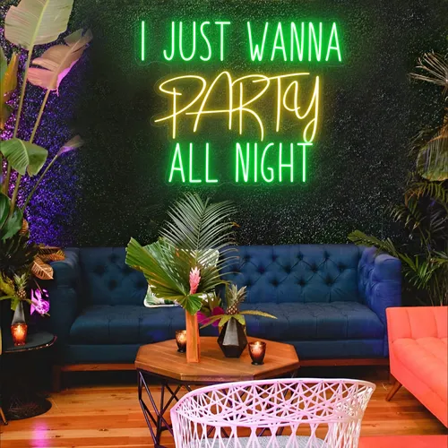 I Just Wanna Party All Night LED Neon Sign - Custom Flying Discs