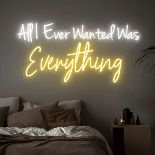 All I Ever Wanted Was Everything Neon Sign - Custom Flying Discs