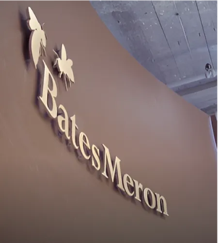 Bronze Logo Signs - Custom Flying Discs