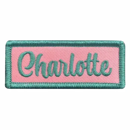 Teal and Pink Charlotte Name Patch - Custom Flying Discs