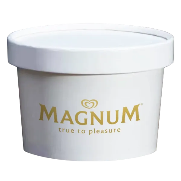 Ice Cream Container - Custom Flying Discs