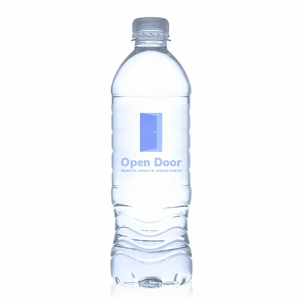 16.9 oz Standard Custom Label Water Bottles - Custom Flying Discs