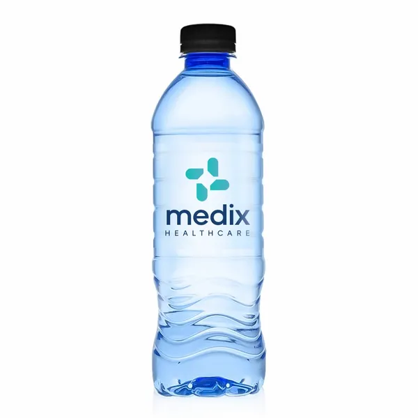 16.9 oz Blue Water Bottle - Custom Flying Discs