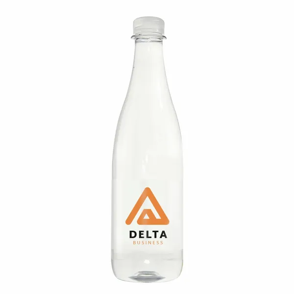 16.9 oz Champagne Style Water Bottle - Custom Flying Discs