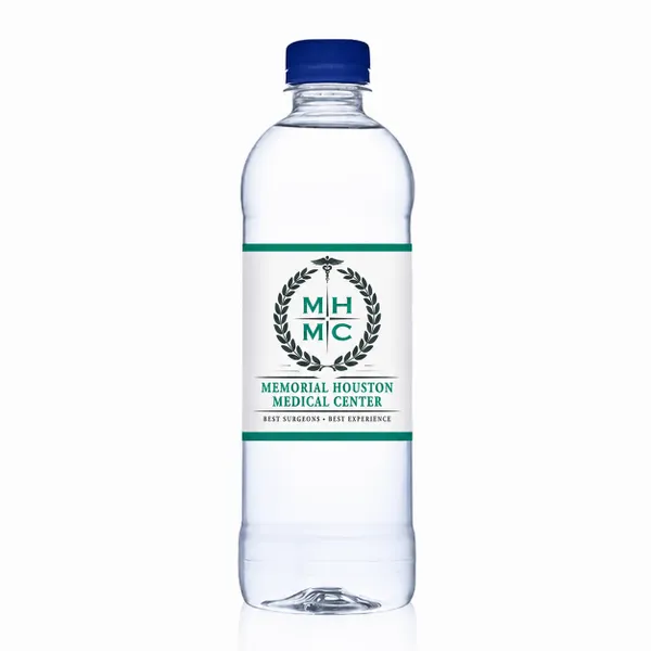 16.9 oz Bullet Bottles – Private Label Water - Custom Flying Discs