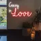 Crazy In Love Neon Sign - Custom Flying Discs