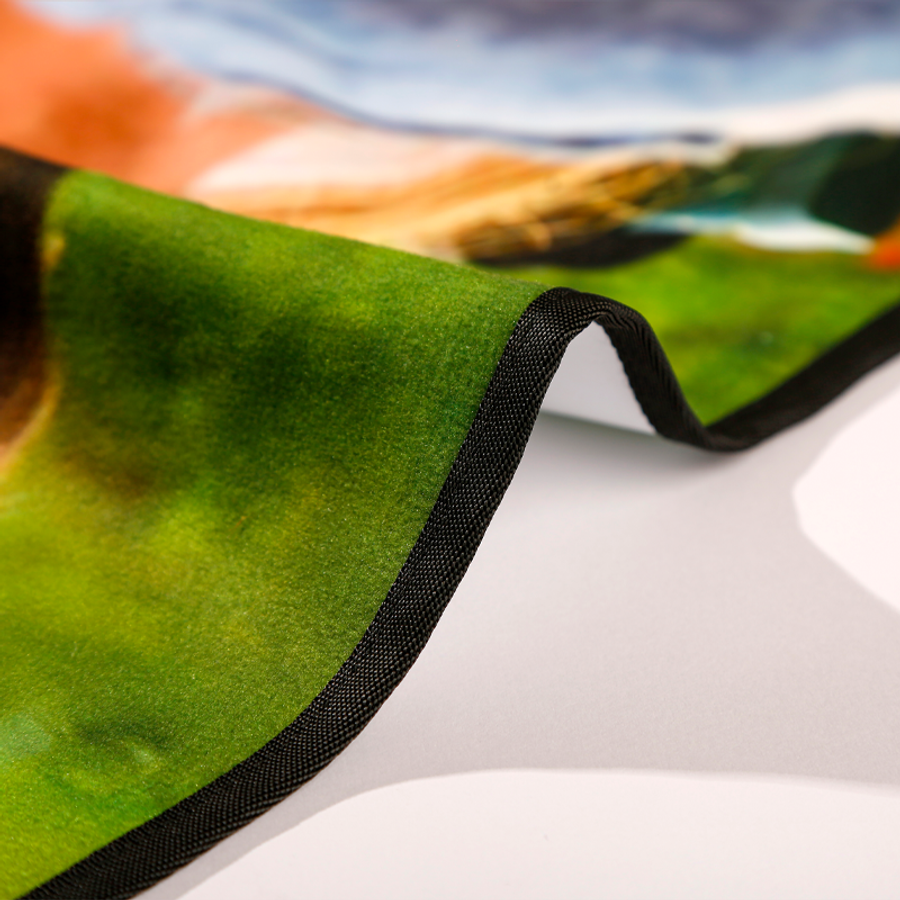 Picnic Blanket - Custom Flying Discs