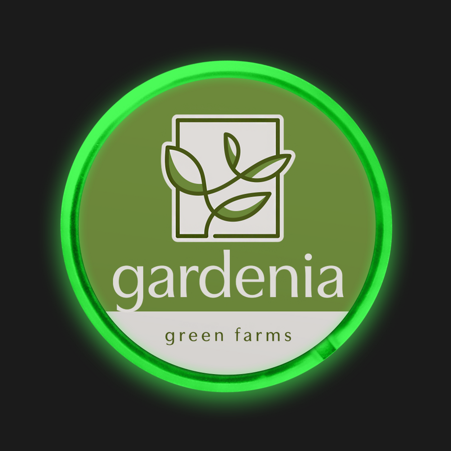 Light Button Pins - Custom Flying Discs