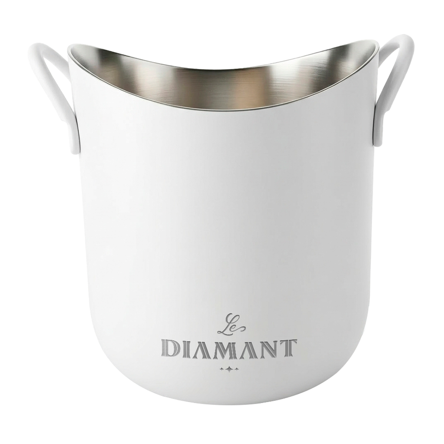 Stainless Steel Party Buckets - Custom Flying Discs