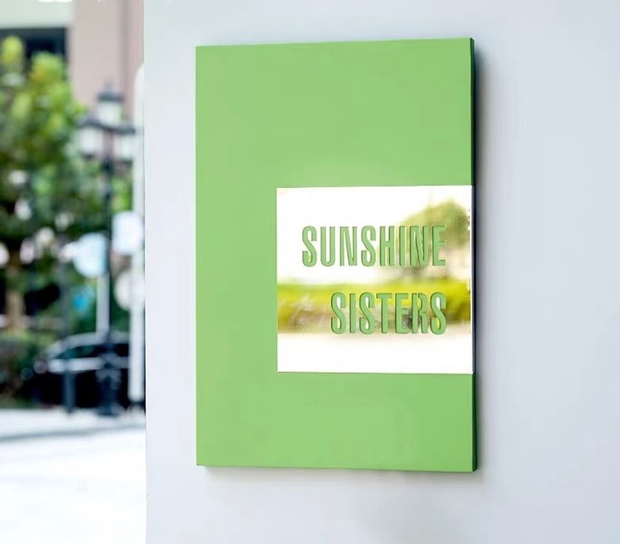 Contemporary Color Metal Plaque - Custom Flying Discs