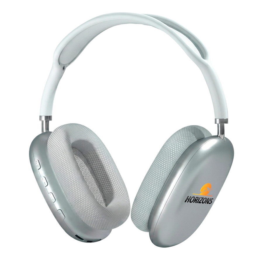Apex Audio Maxes - Custom Flying Discs