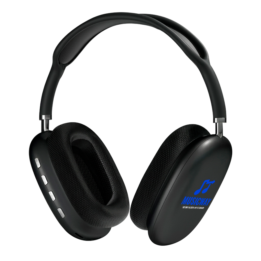 Apex Audio Maxes - Custom Flying Discs