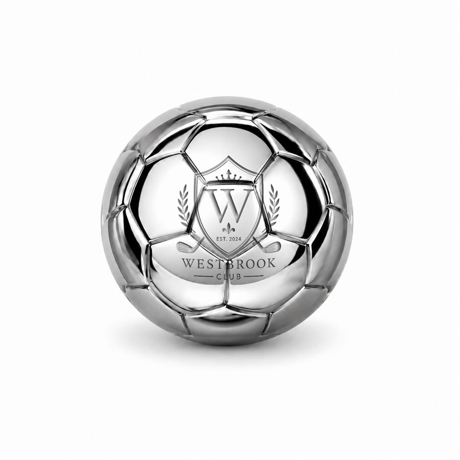 Soccer Ball Stainless Steel Ice Cubes - Custom Flying Discs